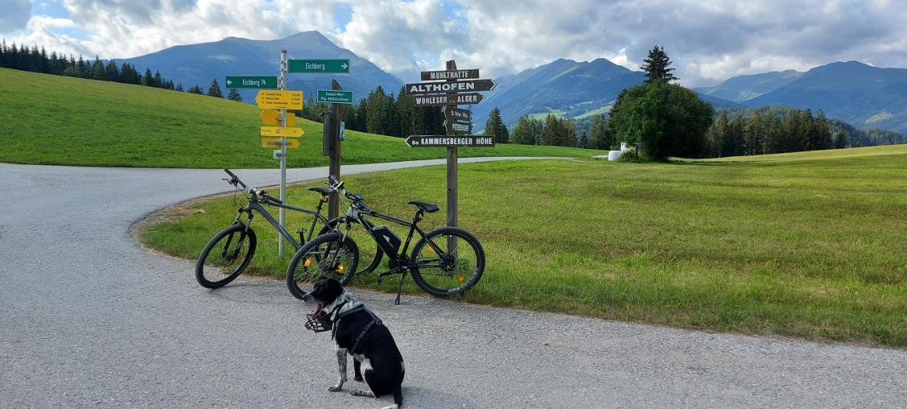 Camping Bella Austria Sankt Peter am Kammersberg Exteriör bild