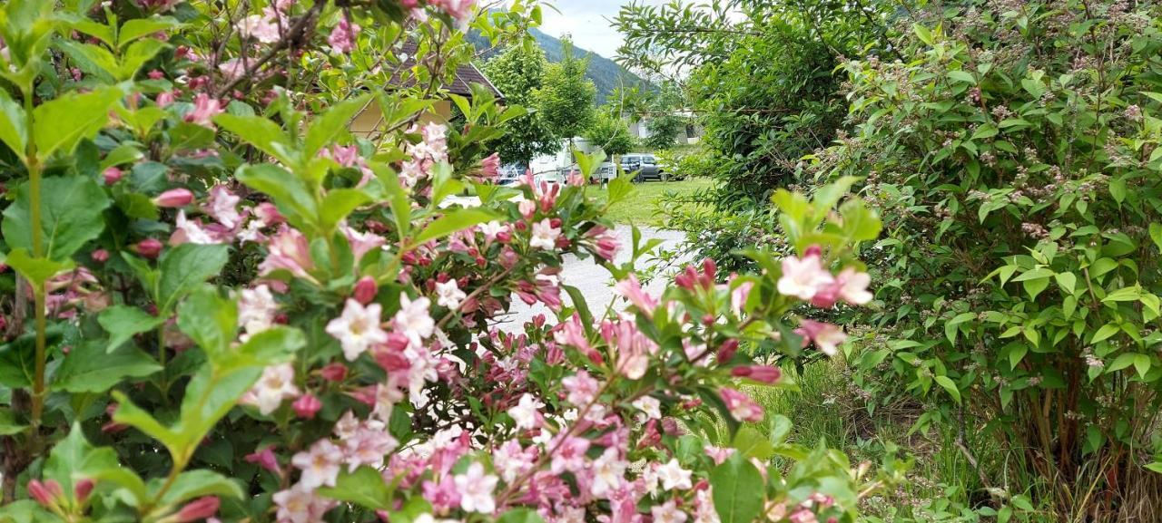 Camping Bella Austria Sankt Peter am Kammersberg Exteriör bild
