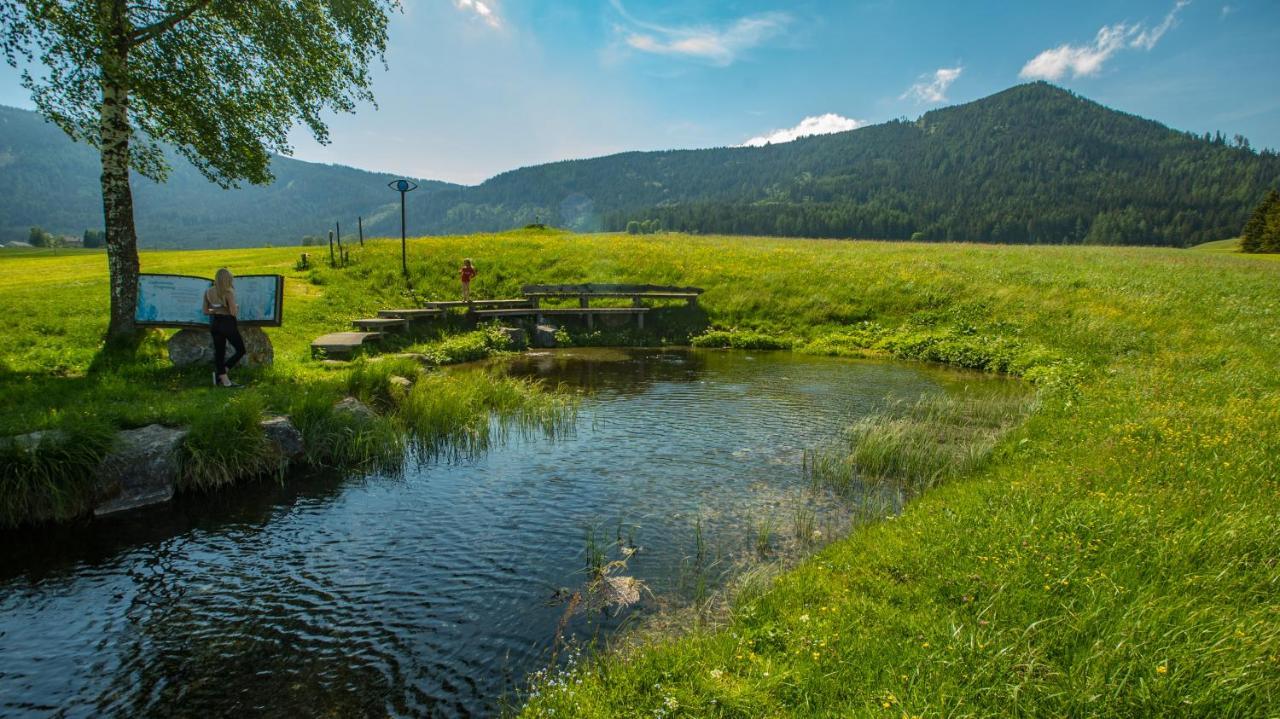 Camping Bella Austria Sankt Peter am Kammersberg Exteriör bild