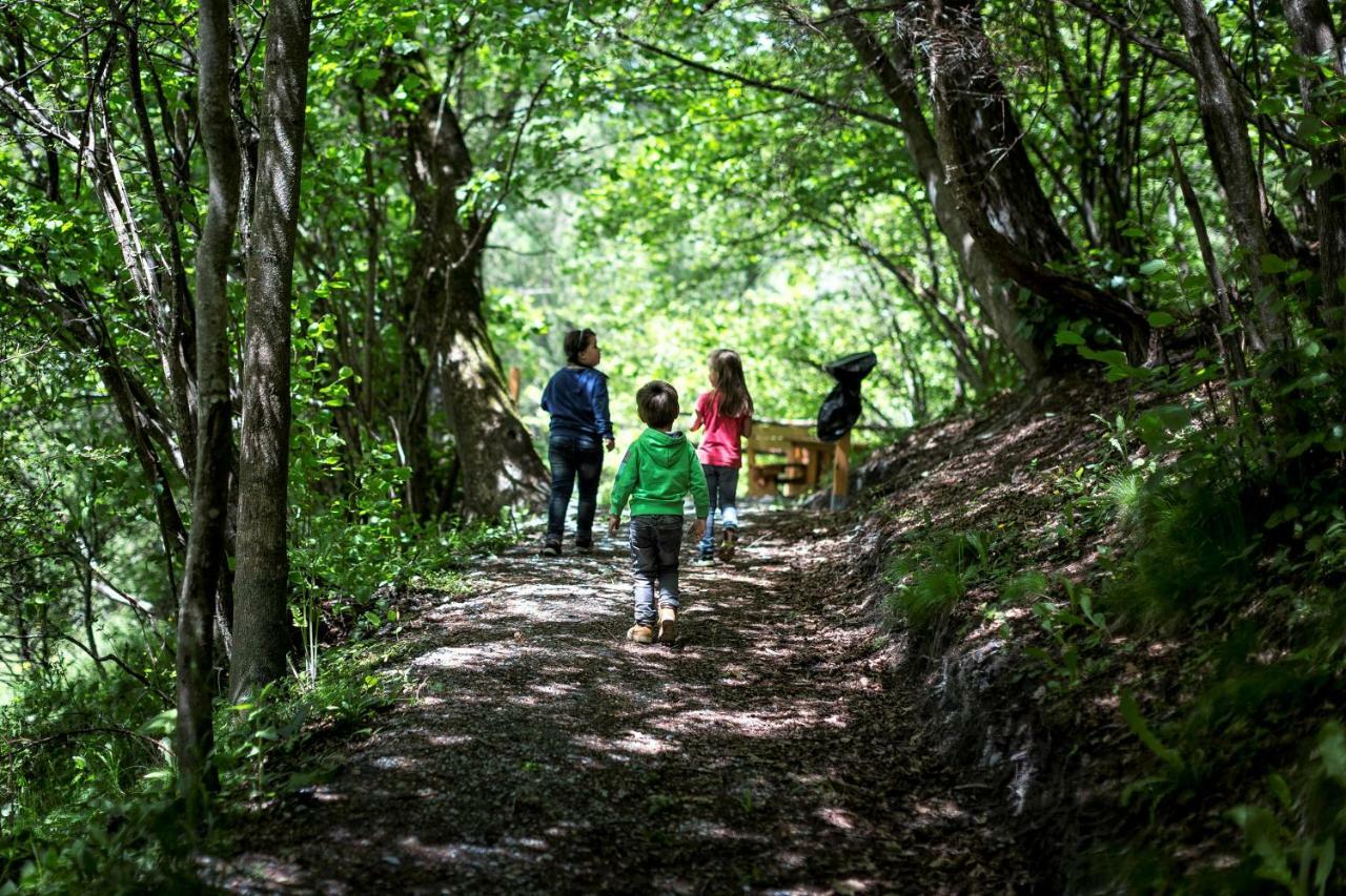 Camping Bella Austria Sankt Peter am Kammersberg Exteriör bild